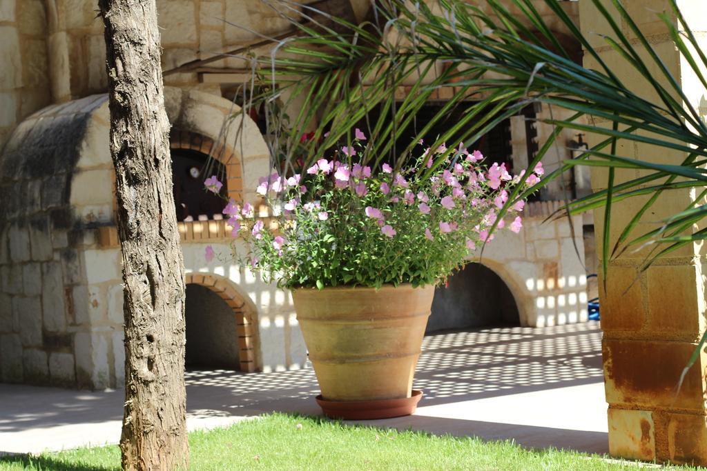 Villa Alimedon